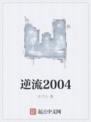 逆流2004